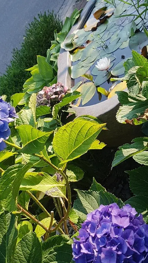 Stylisches Garden Cottage Weyhe